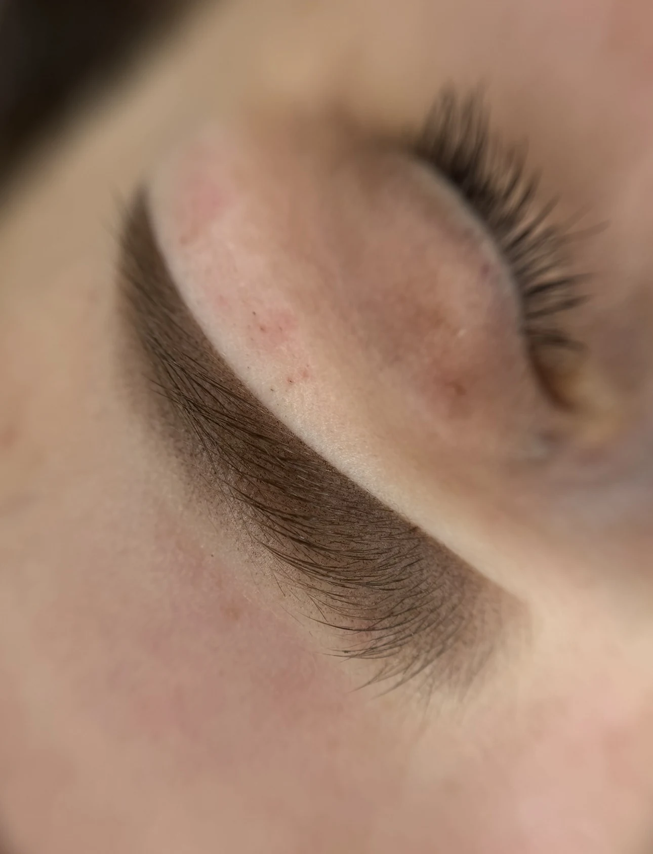 Finished eyebrow result on the oily-skin course model